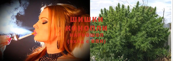 apvp Балабаново