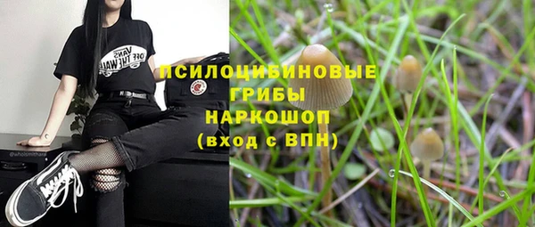 apvp Балабаново