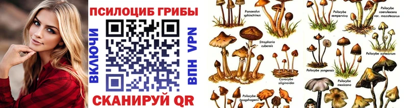 hydra вход  Почеп  Псилоцибиновые грибы Cubensis 